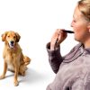 Dog Whistle Acme 211.5 Orange High‑Tone Easy‑Blow Training Whistle-3