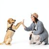Dog Whistle Adjustable Ultrasonic Silent Training with Lanyard 2 Pack-3