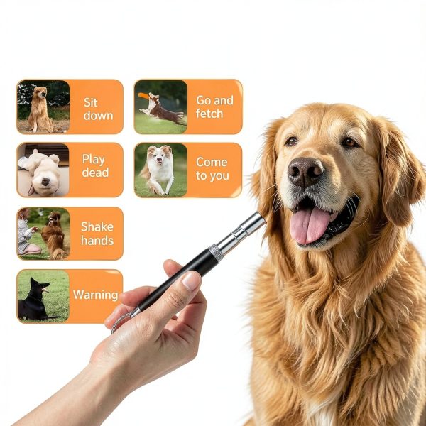 Ami's Delight Dog Whistle Set of 5 | 2PCS Premium Quality Adjustable Dog Whistles with 2 Black Lanyards and a Dog Clicker | Ultrasonic Dog Whistle to Stop Barking Neighbors Dog-2