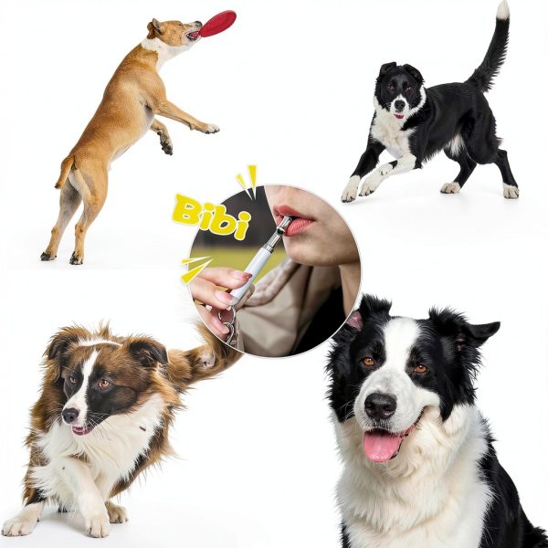 Dog Whistle Adjustable Ultrasonic Silent Training with Lanyard 2 Pack-1