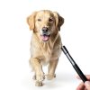 Ami's Delight Dog Whistle Set of 5 | 2PCS Premium Quality Adjustable Dog Whistles with 2 Black Lanyards and a Dog Clicker | Ultrasonic Dog Whistle to Stop Barking Neighbors Dog-1