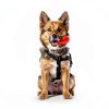 Dog Whistle BMHNOONE Adjustable Ultrasonic Training Whistle 2-Pack-6