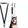 Dog Whistle 2 Pack Ultrasonic Silent Adjustable Lanyard by EupHHonycs-1
