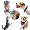 Dog Whistle NIKIMORE 2-Pack Silent Ultrasonic Lanyard Black/White-2