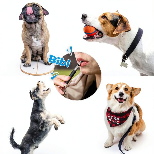 Dog Whistle NIKIMORE 2-Pack Silent Ultrasonic Lanyard Black/White-2