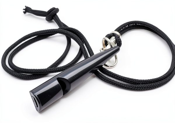 Dog Whistles That Makes Dogs Come to You | Perfect for Training | Dog Training Whistles | Includes Lanyard for Easy Use | Black Color to Match It with Everything | Dog Whistle Training-0