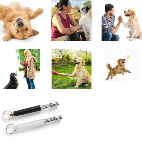 Dog Whistle Reddeda 2 Pack Black Ultrasonic Silent Whistle-4