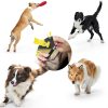 Dog Whistle BMHNOONE Adjustable Ultrasonic Training Whistle 2-Pack-5