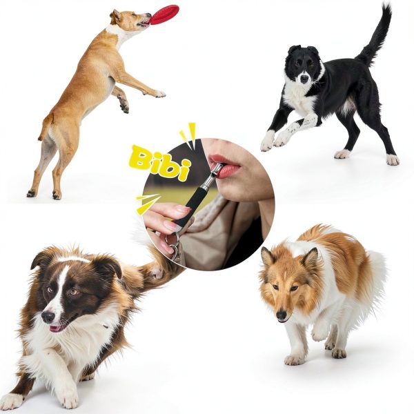 Dog Whistle BMHNOONE Adjustable Ultrasonic Training Whistle 2-Pack-5