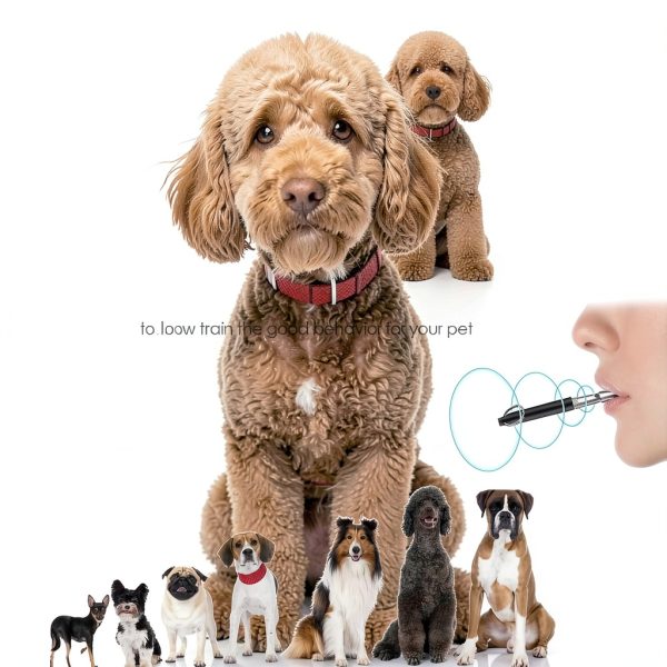 Dog Whistle NIKIMORE 2-Pack Silent Ultrasonic Lanyard Black/White-6