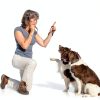Dog Whistle BMHNOONE Adjustable Ultrasonic Training Whistle 2-Pack-1