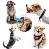 Dog Whistle Adjustable Ultrasonic Silent 2 Pack – BD Training Whistle-2