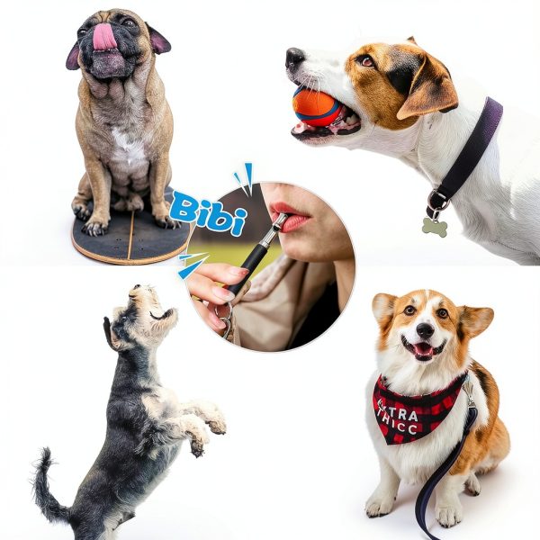 Dog Whistle Adjustable Ultrasonic Silent 2 Pack – BD Training Whistle-2