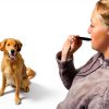 Dog Training Whistle Acme 211.5 Black High-Pitch Solid Tone-1