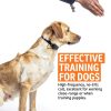 SportDOG Brand Roy Gonia Special Whistle Without Pea - Hunting Dog Training Whistle with Easy-to-Blow Design - Orange-2