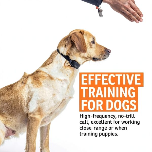 SportDOG Brand Roy Gonia Special Whistle Without Pea - Hunting Dog Training Whistle with Easy-to-Blow Design - Orange-2